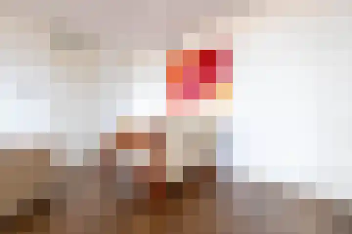 Zuidland 15 Alphen aan den Rijn thumbnail 6