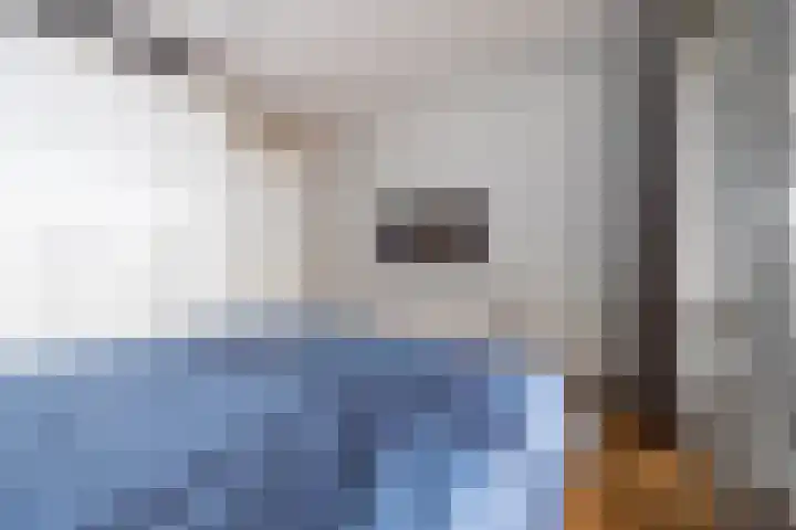 Zuidland 15 Alphen aan den Rijn thumbnail 8