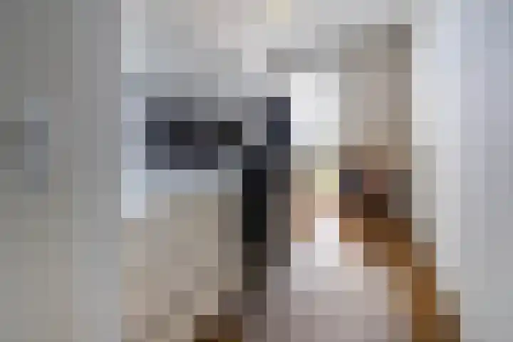 Zuidland 15 Alphen aan den Rijn thumbnail 9