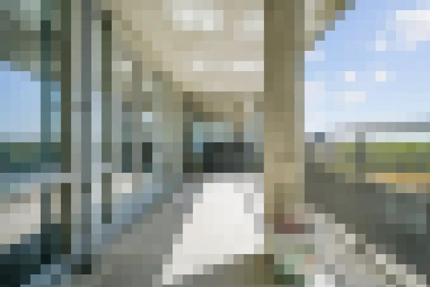 Zuidland 29 Alphen aan den Rijn thumbnail 5