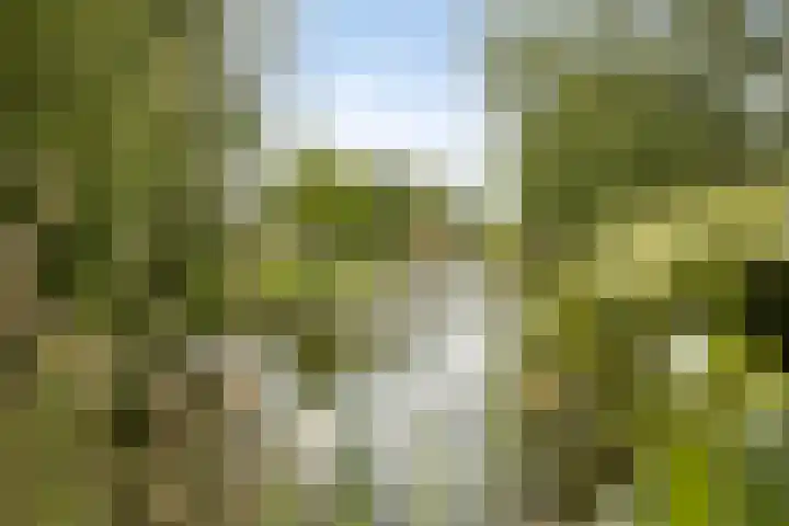 Zuidland 53 Alphen aan den Rijn thumbnail 30