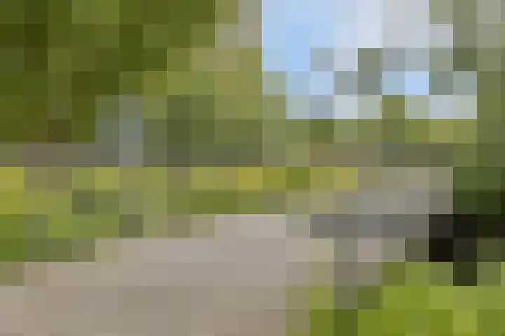 Zuidland 53 Alphen aan den Rijn thumbnail 31