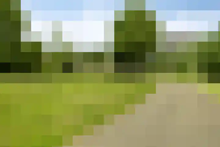 Zuidland 53 Alphen aan den Rijn thumbnail 32
