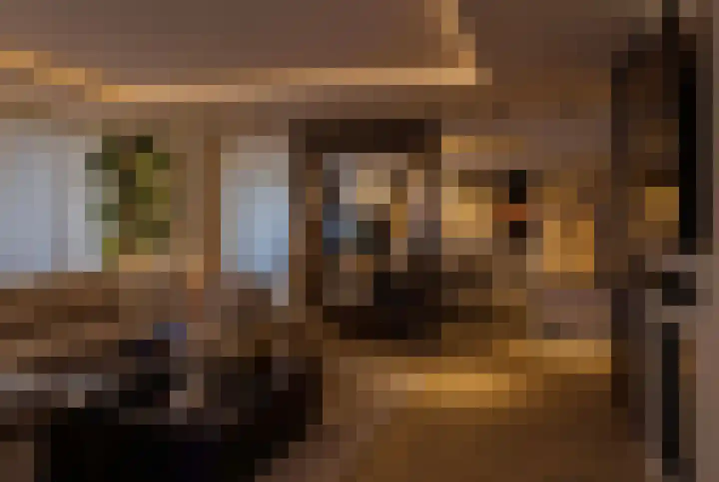 Zuidland 65 Alphen aan den Rijn thumbnail 7