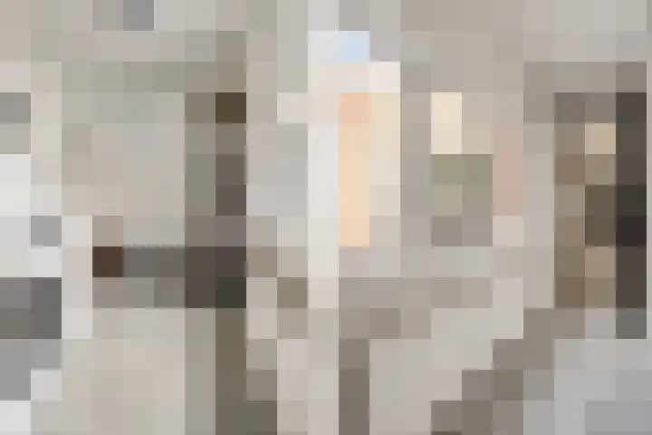 Zuidlandstraat 13 Terneuzen thumbnail 13