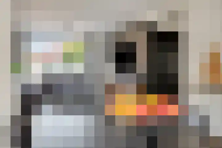 Zuidlandstraat 13 Terneuzen thumbnail 5