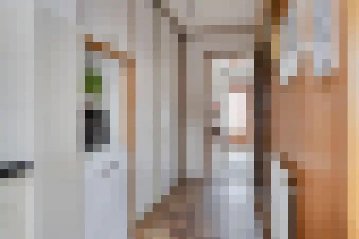 Zuidlandstraat 23 Terneuzen thumbnail 14