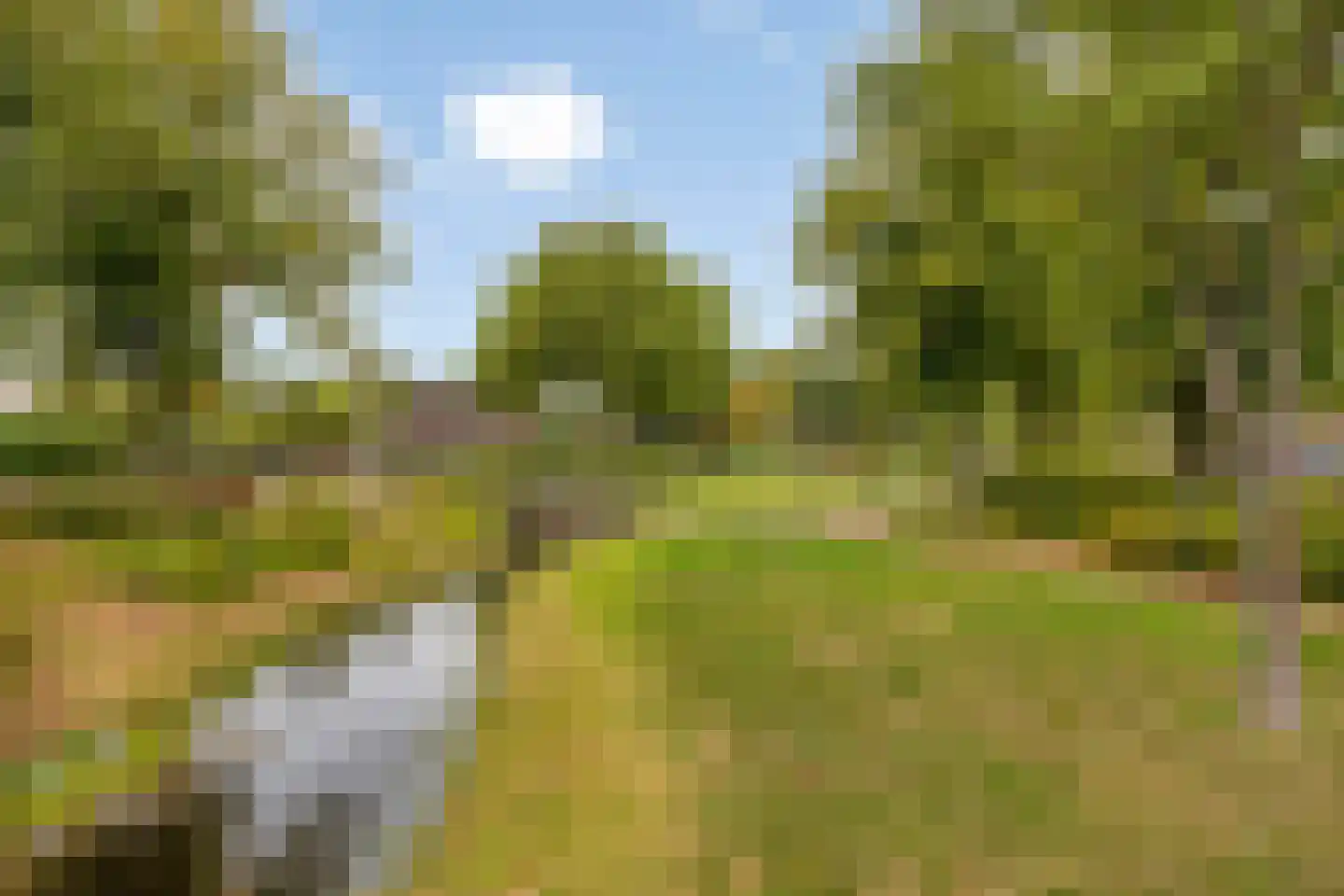 Zuidlandstraat 23 Terneuzen thumbnail 42