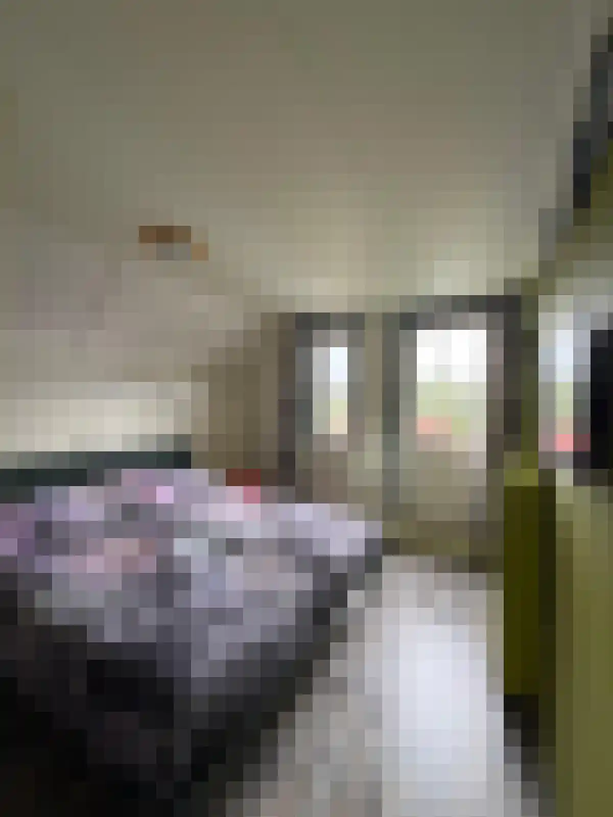 Zuidlangeweg 2 Hoofdplaat thumbnail 14