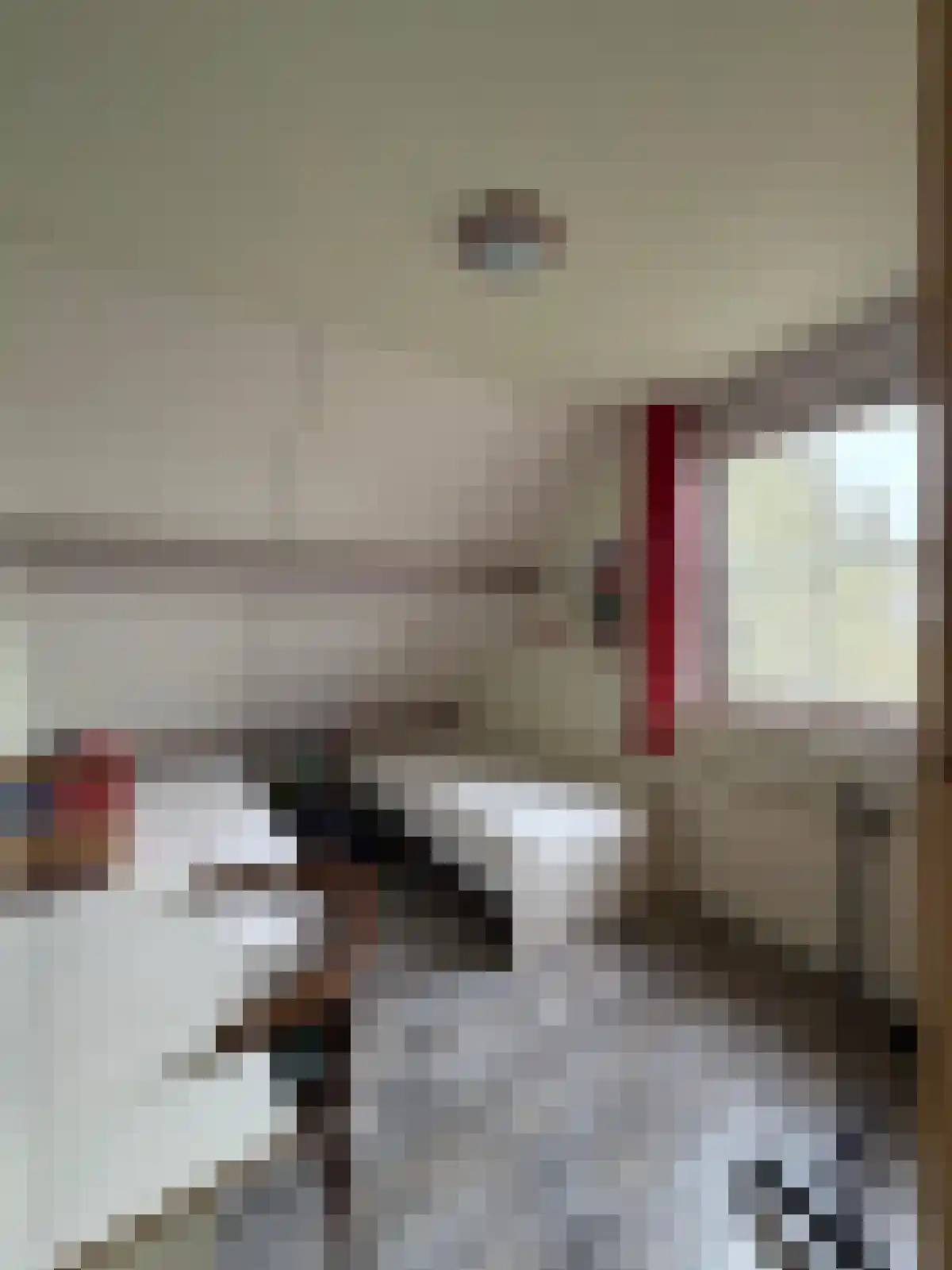 Zuidlangeweg 2 Hoofdplaat thumbnail 15