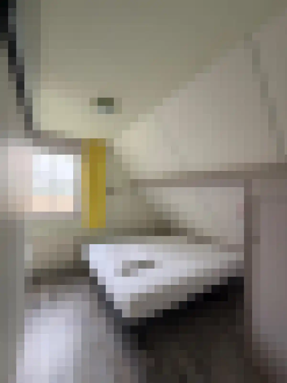 Zuidlangeweg 2 Hoofdplaat thumbnail 16