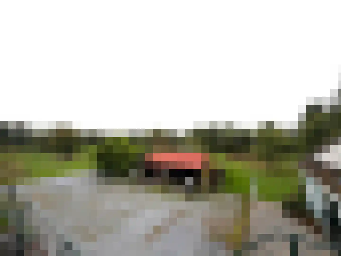 Zuidlangeweg 2 Hoofdplaat thumbnail 20