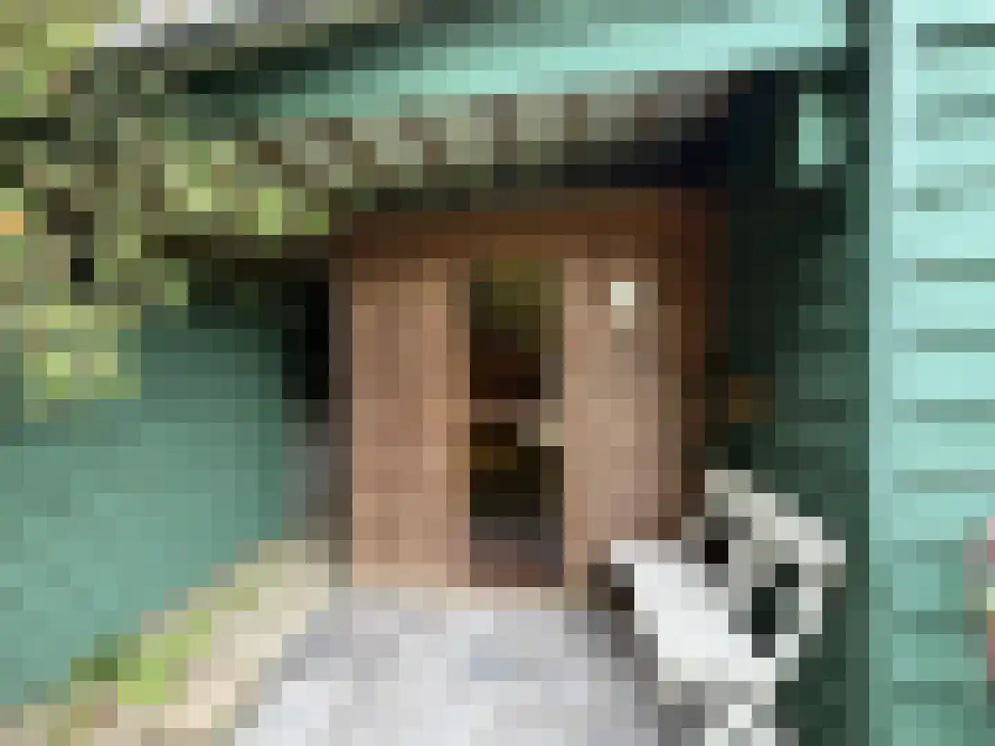 Zuidlangeweg 2 Hoofdplaat thumbnail 22