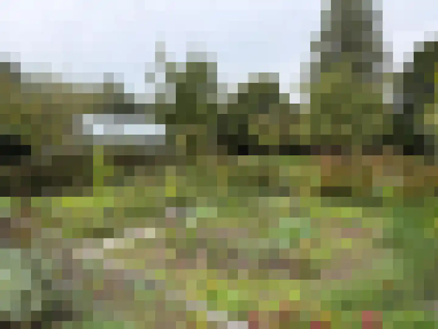 Zuidlangeweg 2 Hoofdplaat thumbnail 23