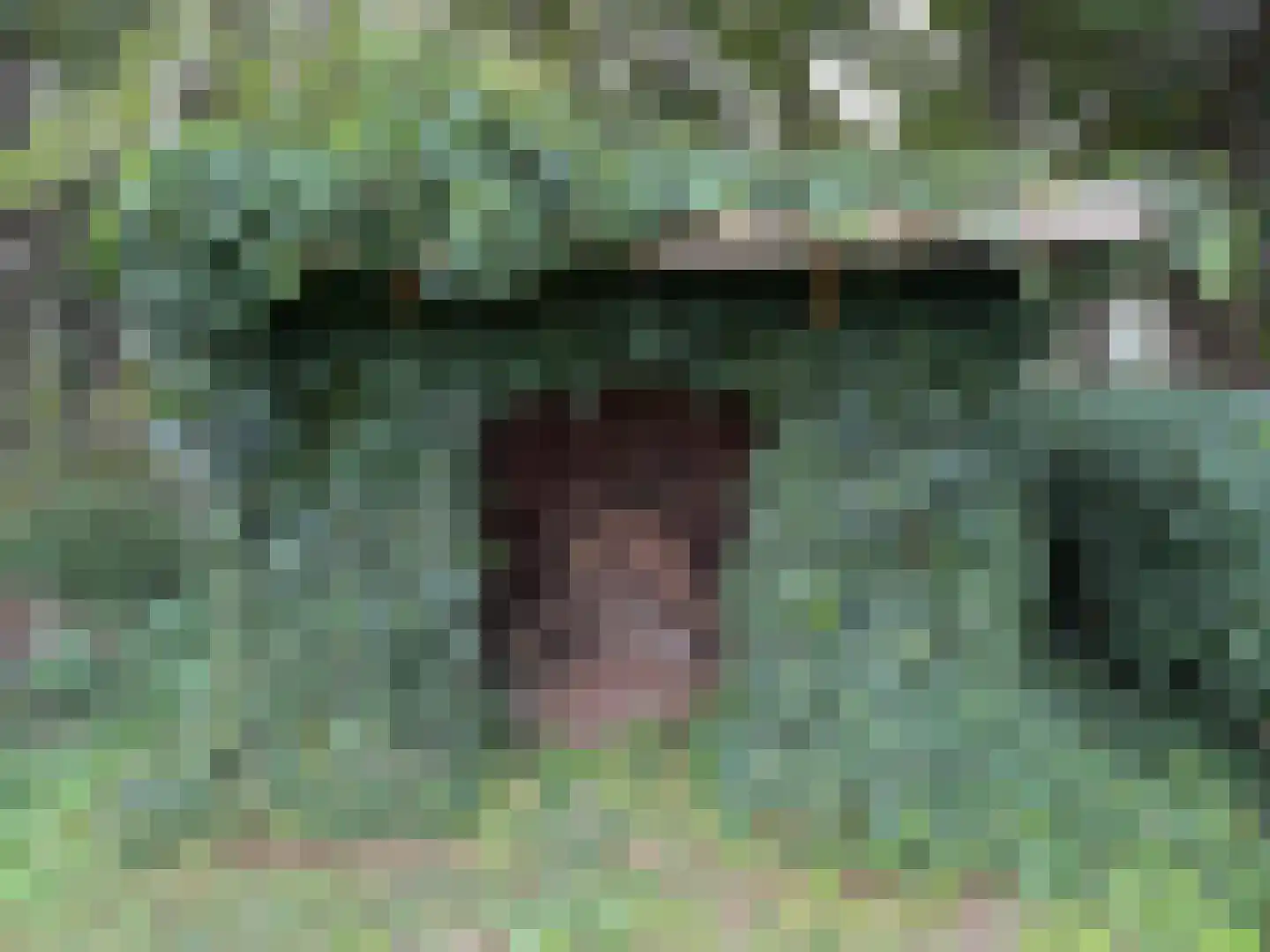Zuidlangeweg 2 Hoofdplaat thumbnail 25