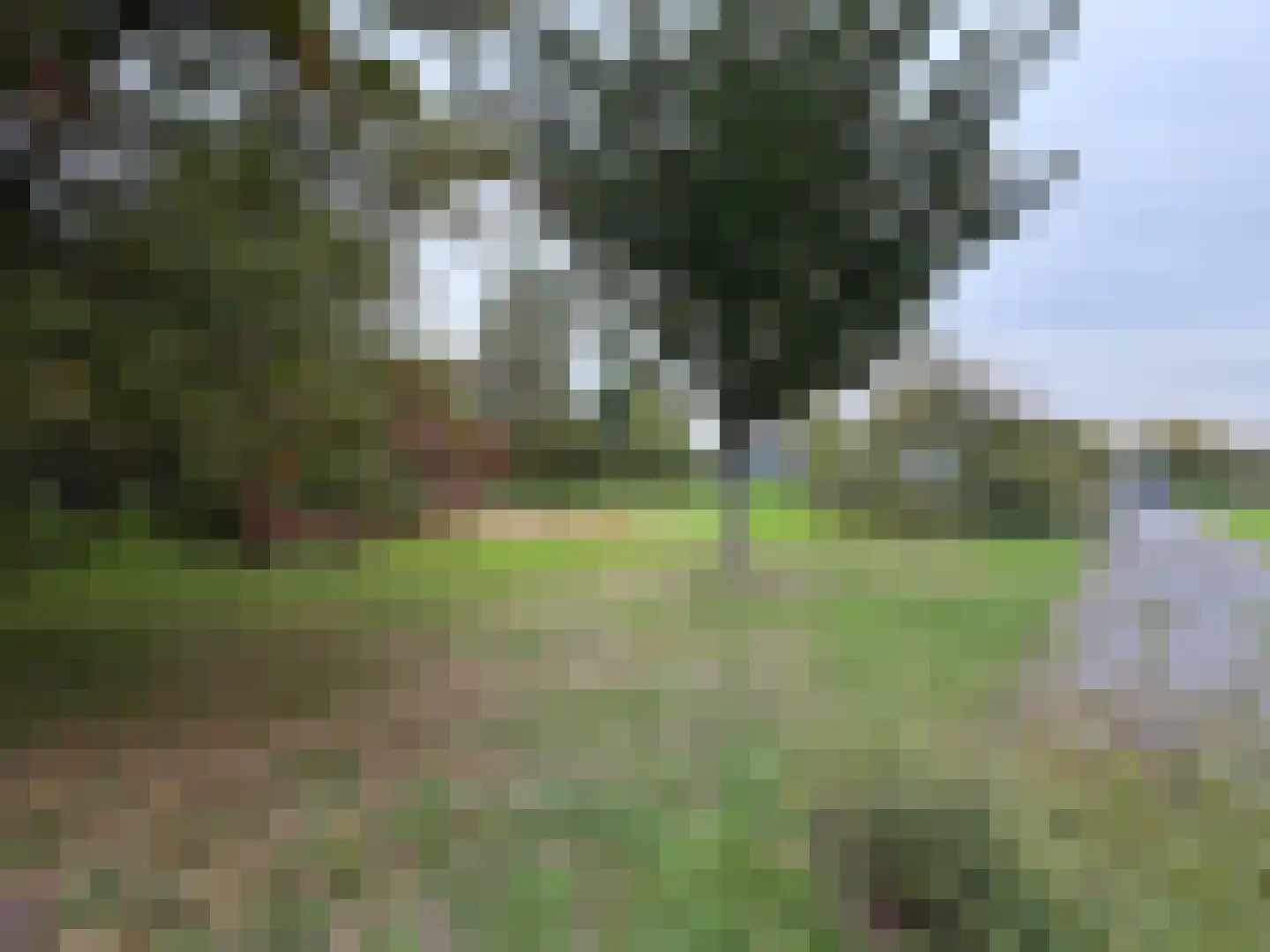 Zuidlangeweg 2 Hoofdplaat thumbnail 26
