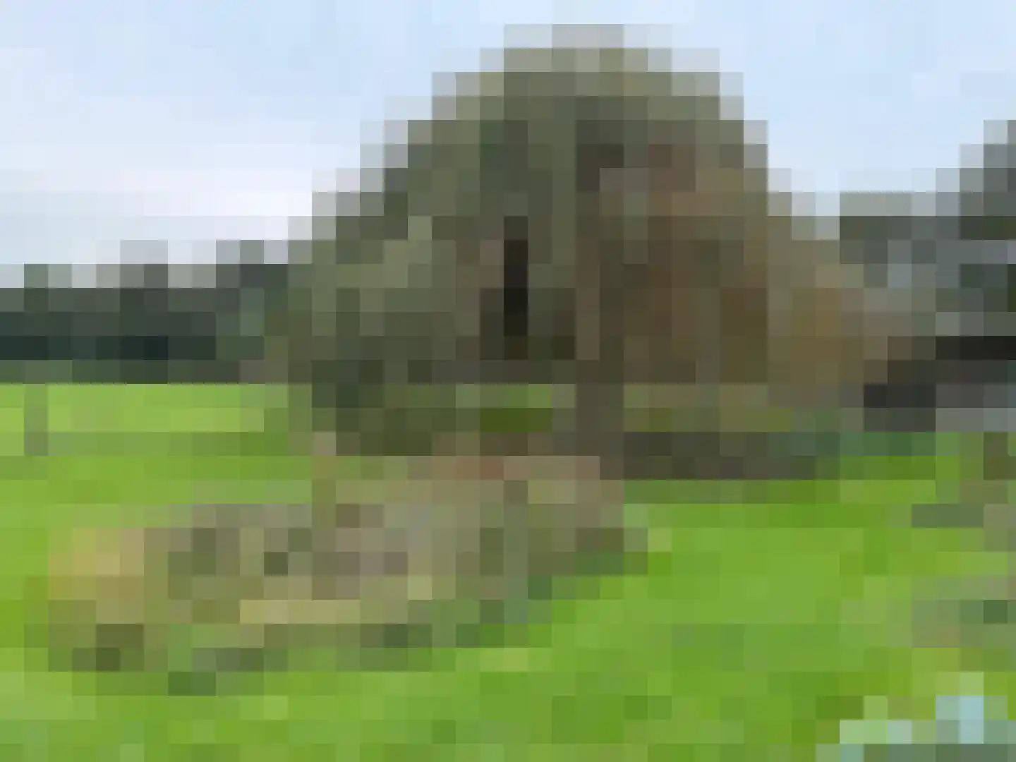 Zuidlangeweg 2 Hoofdplaat thumbnail 27