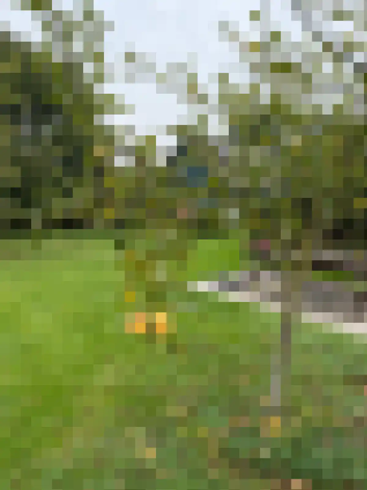 Zuidlangeweg 2 Hoofdplaat thumbnail 30