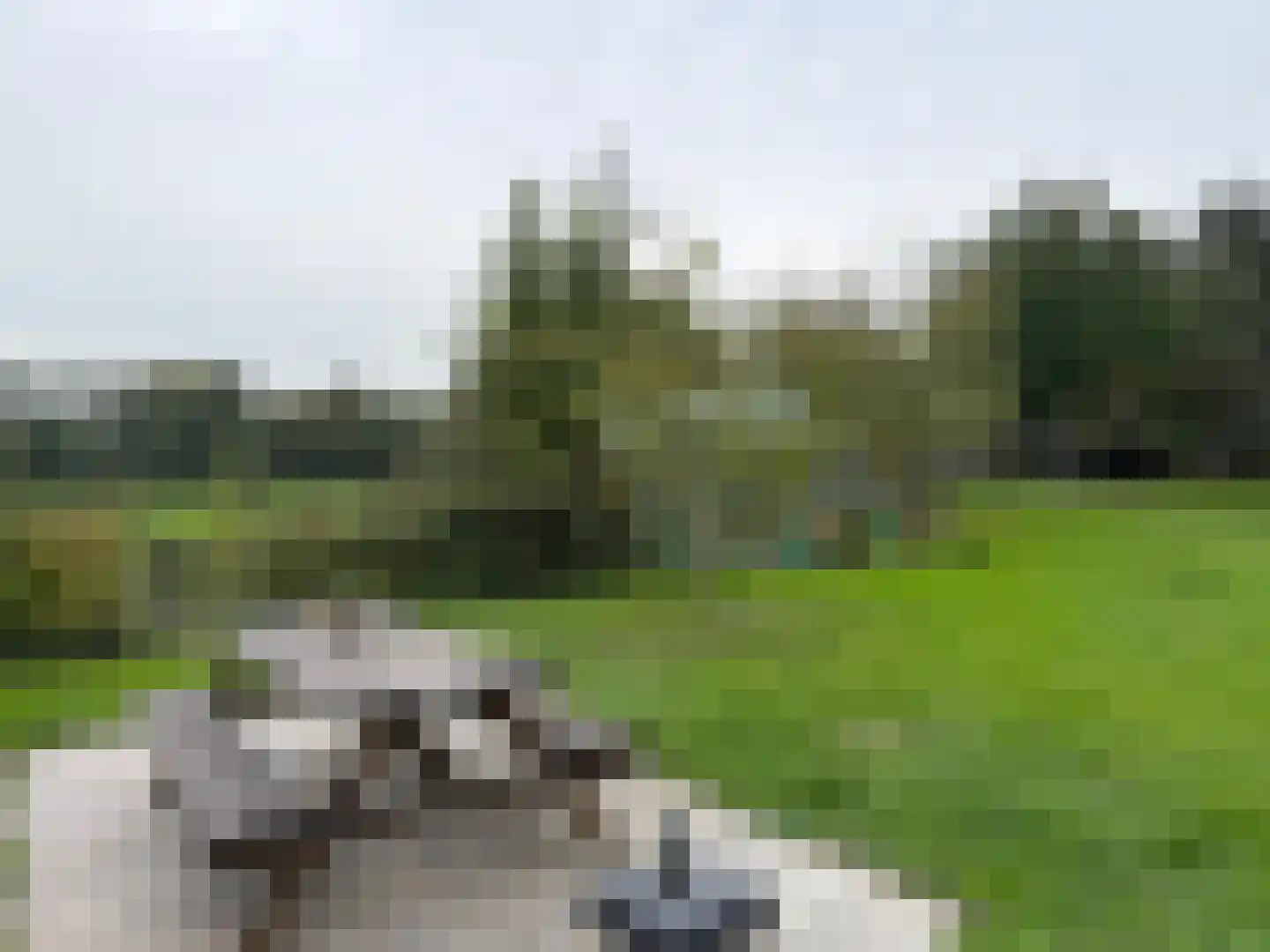 Zuidlangeweg 2 Hoofdplaat thumbnail 31