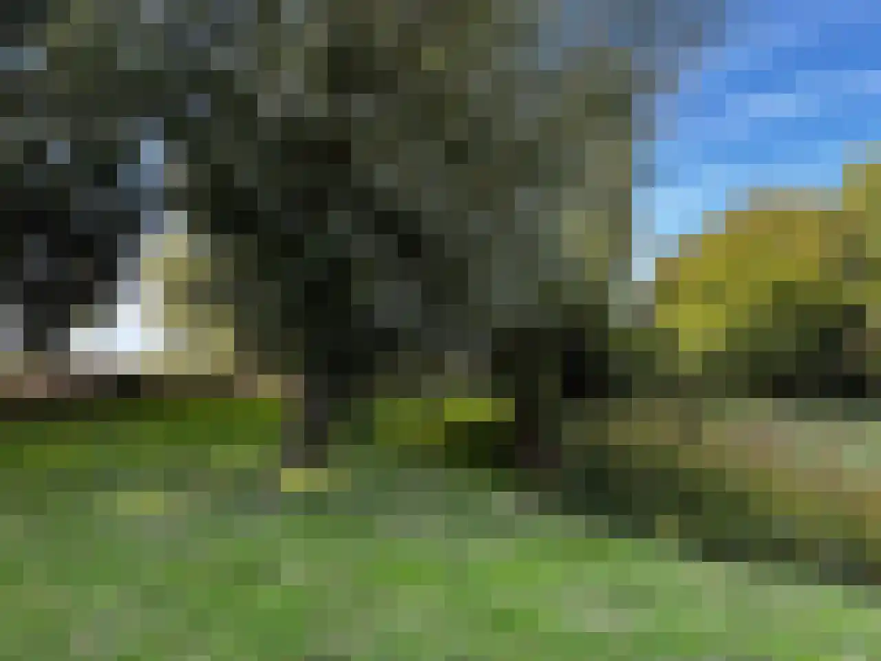Zuidlangeweg 2 Hoofdplaat thumbnail 34