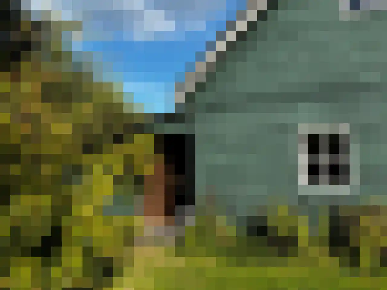 Zuidlangeweg 2 Hoofdplaat thumbnail 36