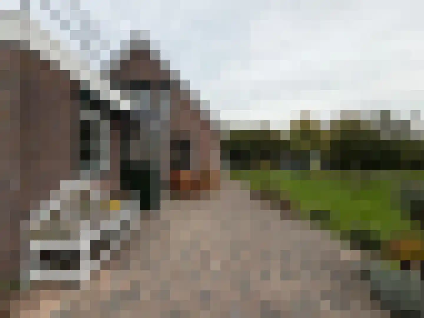 Zuidlangeweg 2 Hoofdplaat thumbnail 4