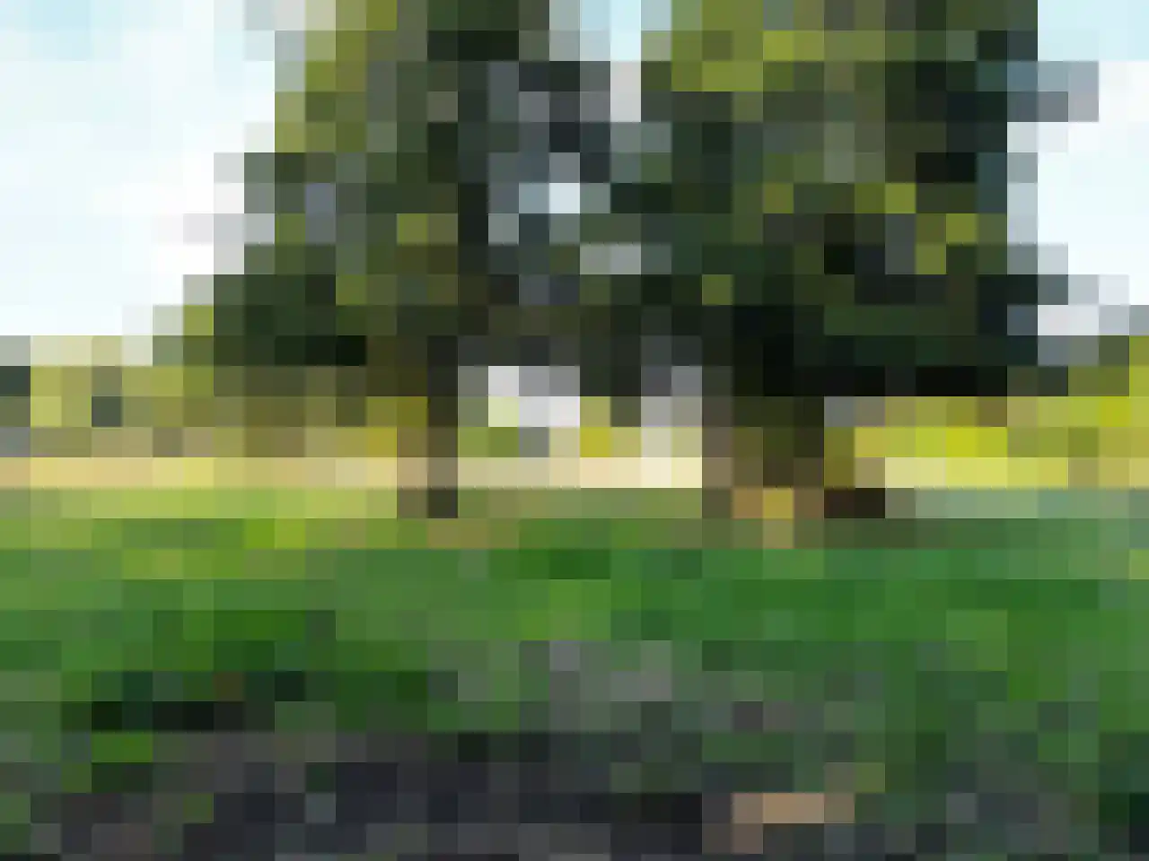 Zuidlangeweg 2 Hoofdplaat thumbnail 41