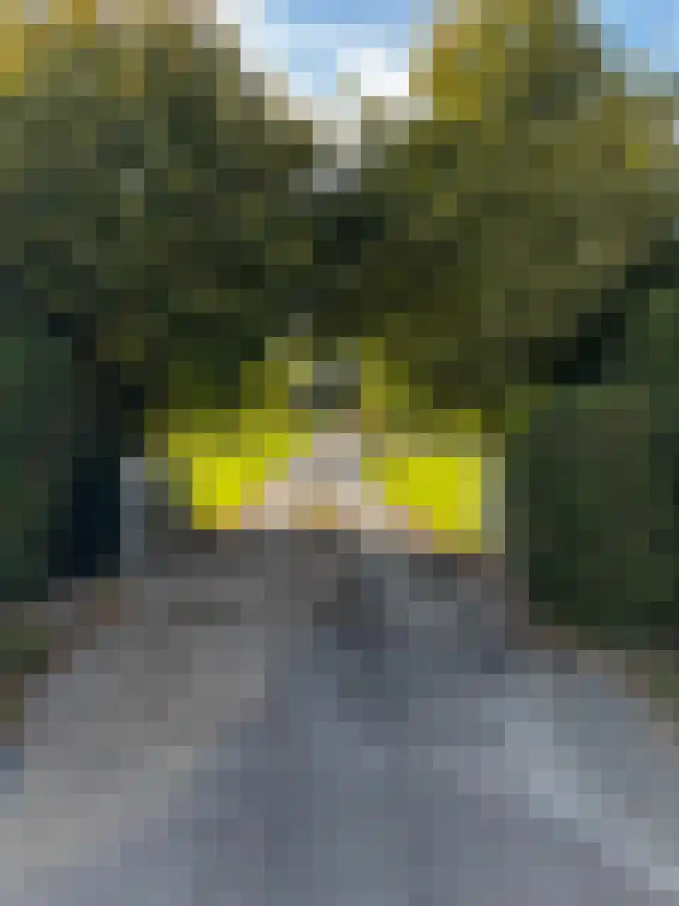 Zuidlangeweg 2 Hoofdplaat thumbnail 5