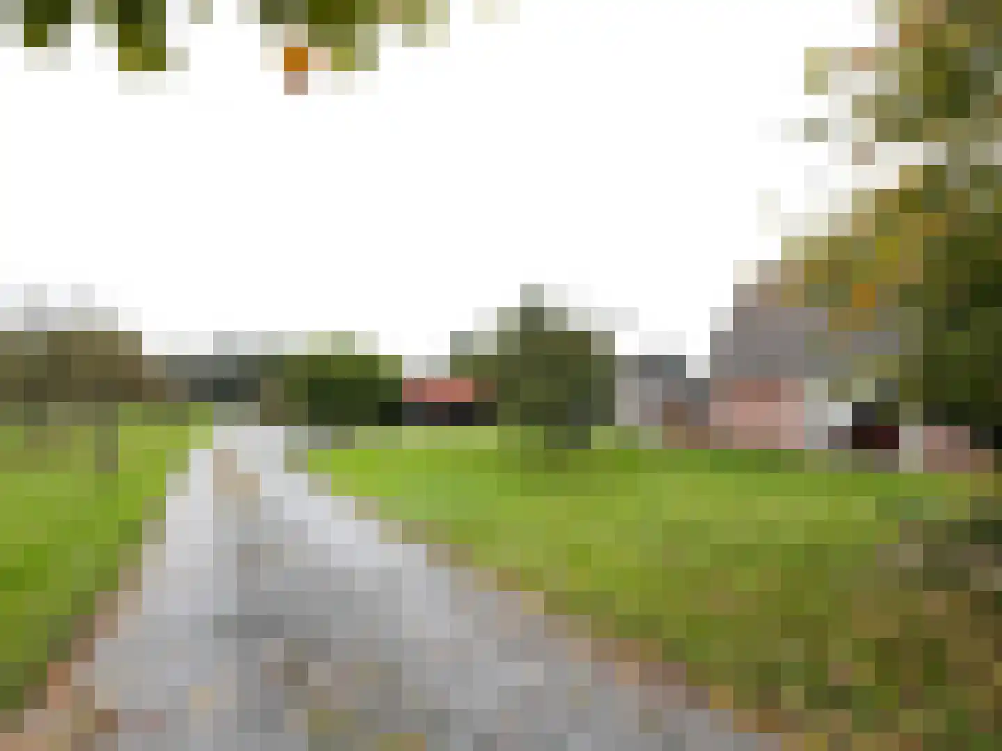 Zuidlangeweg 2 Hoofdplaat thumbnail 6