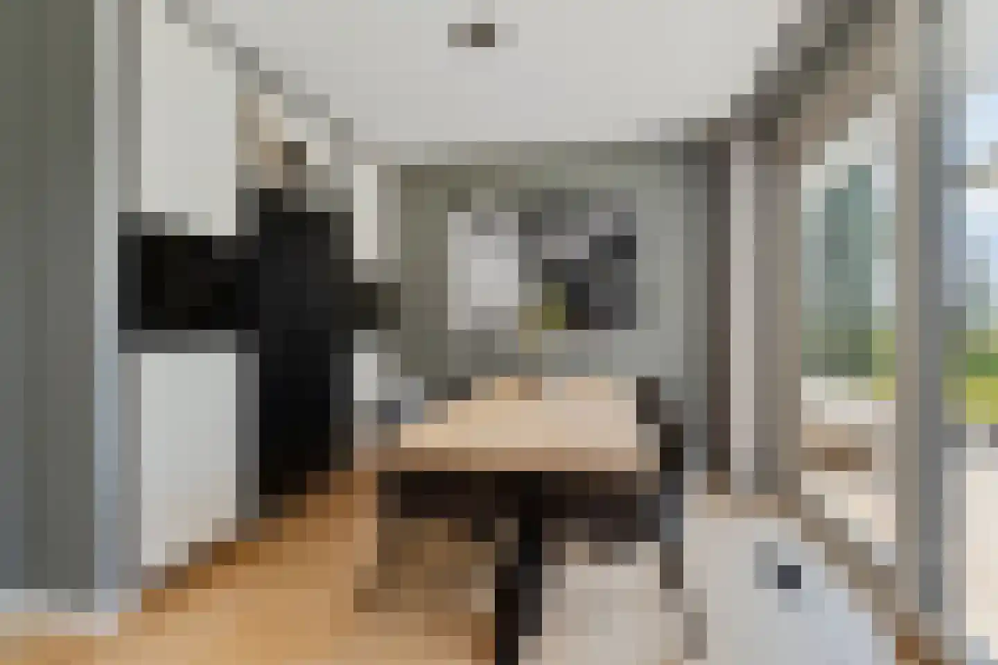 Zuidlangeweg 4 a Oudemolen thumbnail 16
