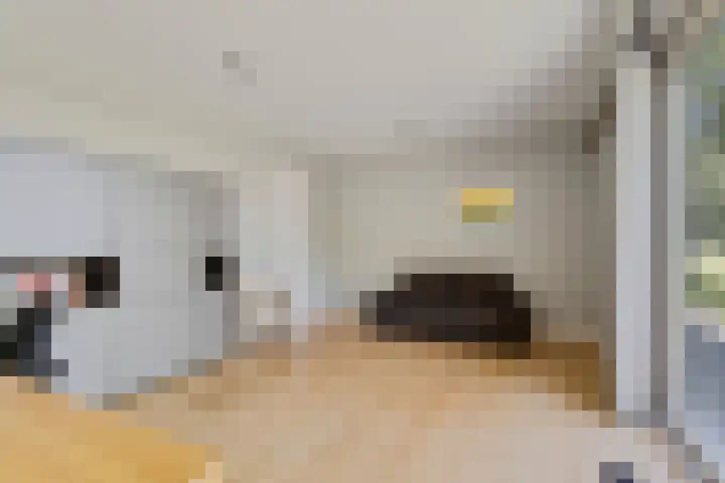 Zuidlangeweg 4 a Oudemolen thumbnail 19