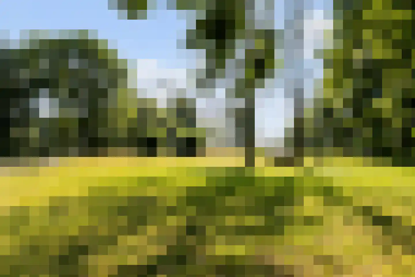Zuidlangeweg 4 a Oudemolen thumbnail 30