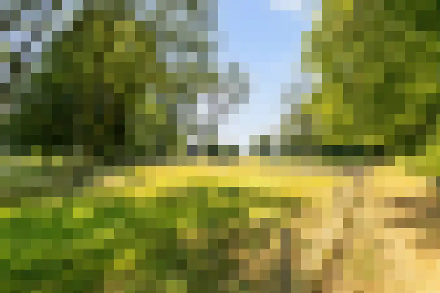 Zuidlangeweg 4 a Oudemolen thumbnail 31