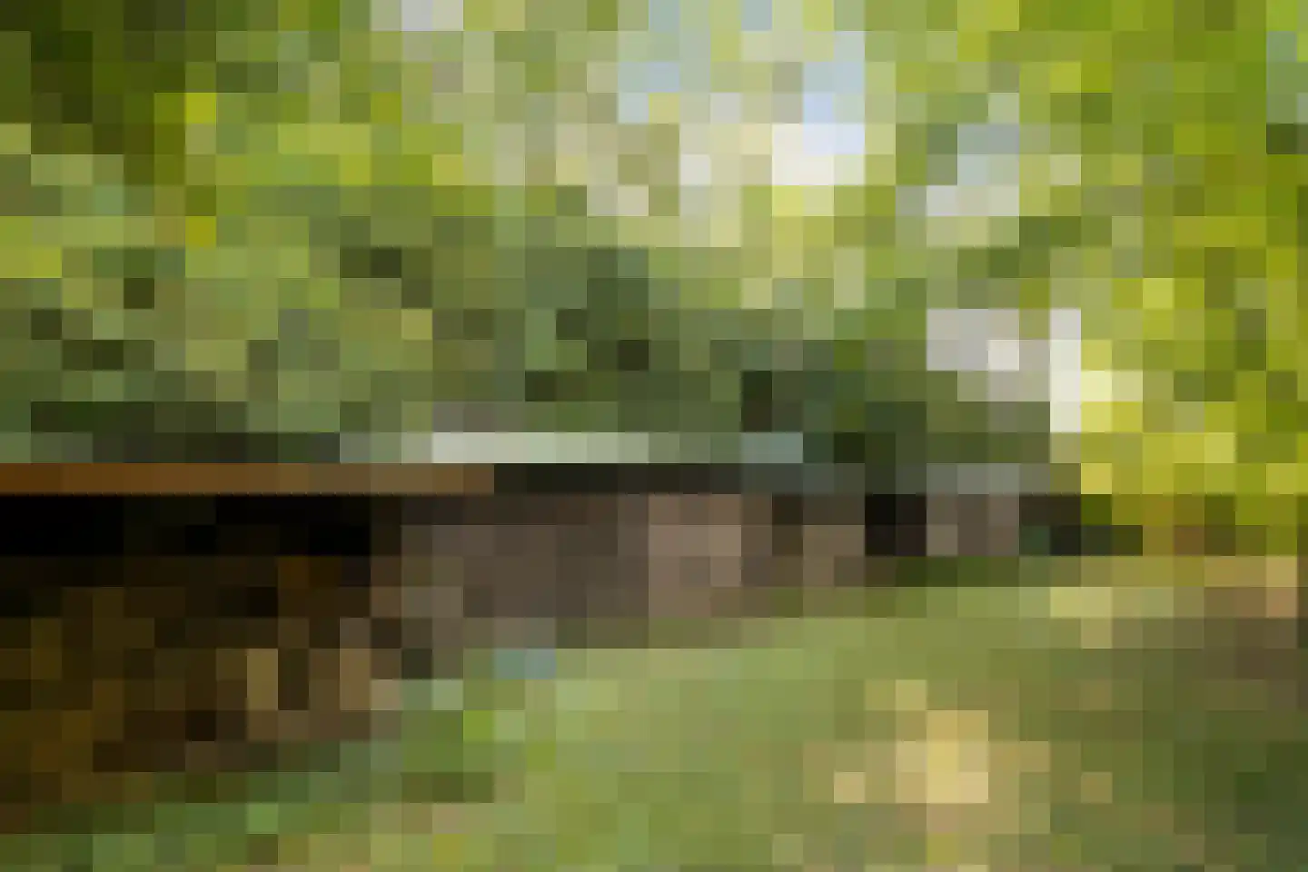 Zuidlangeweg 4 a Oudemolen thumbnail 32