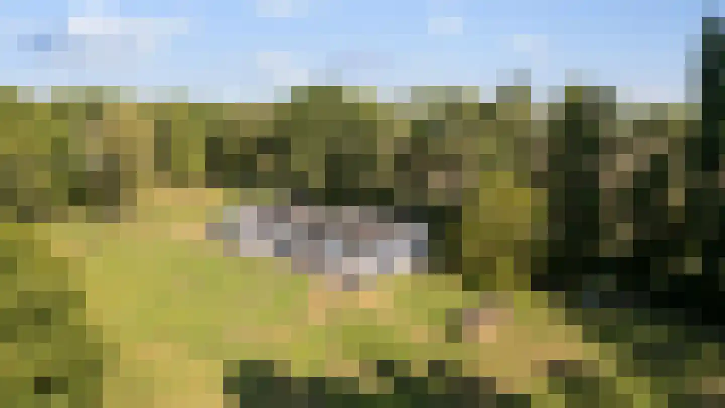 Zuidlangeweg 4 a Oudemolen thumbnail 33