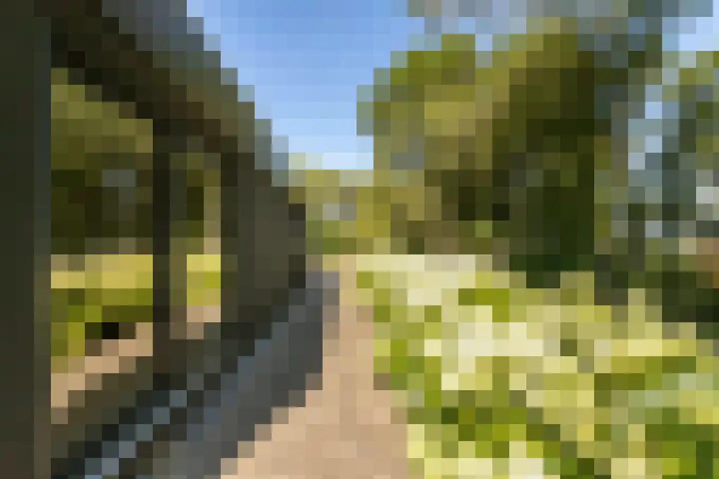 Zuidlangeweg 4 a Oudemolen thumbnail 34