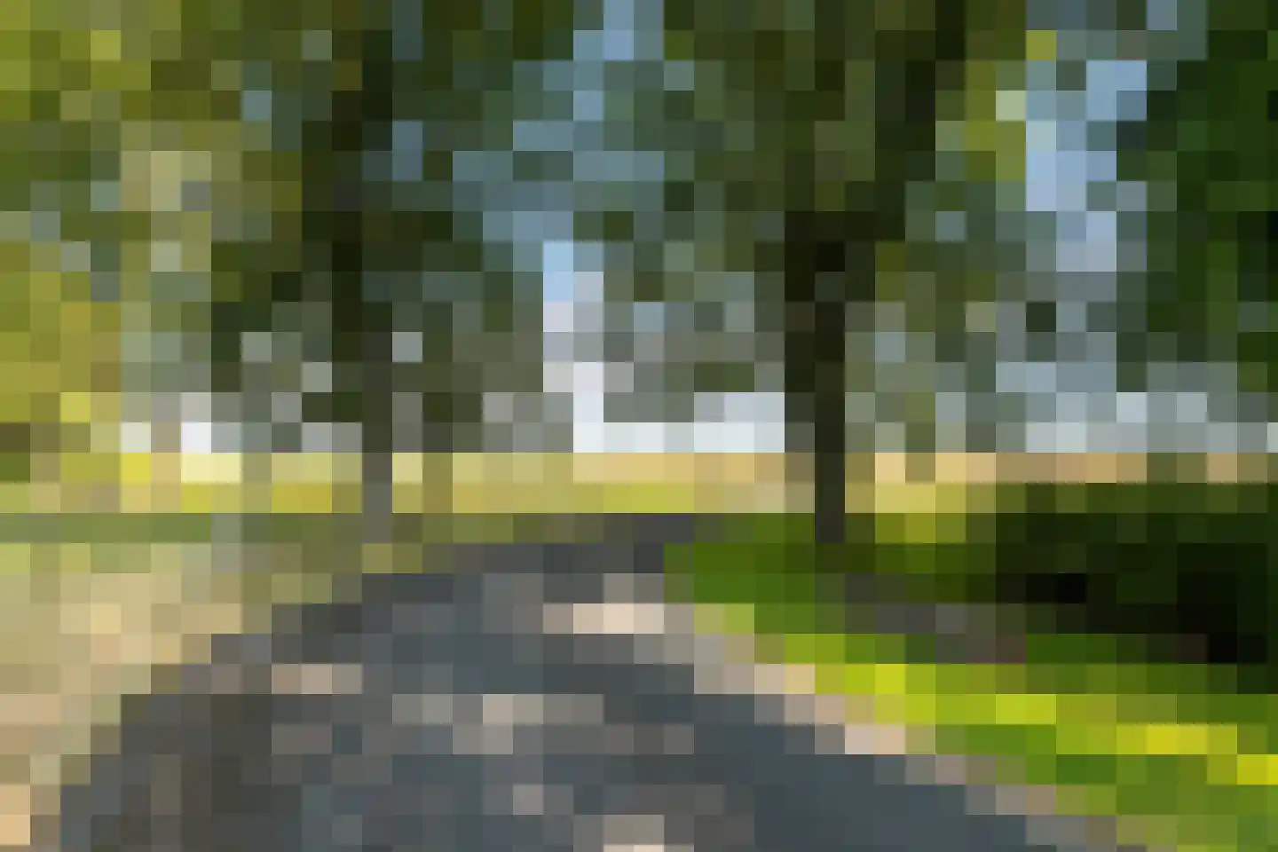 Zuidlangeweg 4 a Oudemolen thumbnail 36