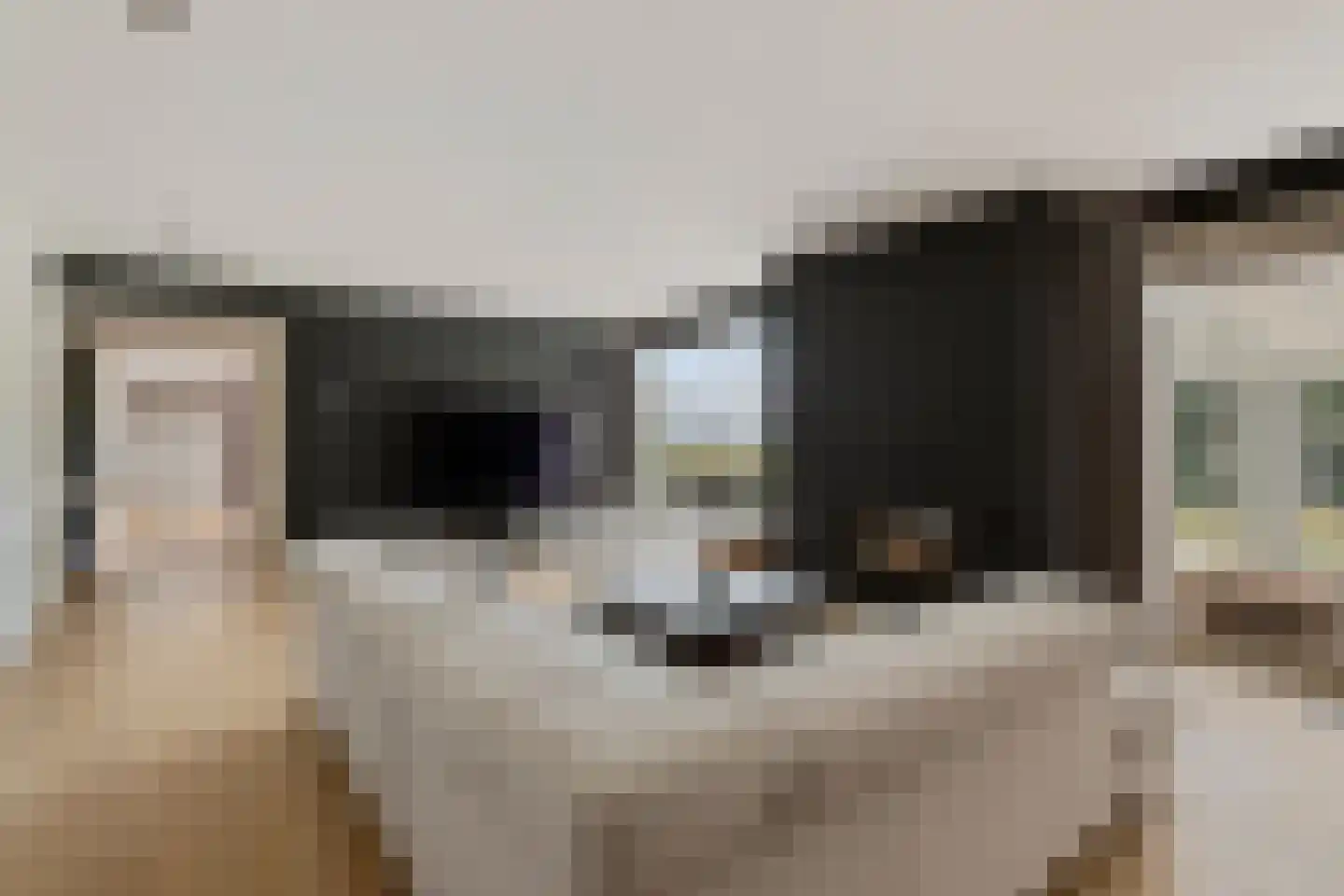 Zuidlangeweg 4 a Oudemolen thumbnail 7