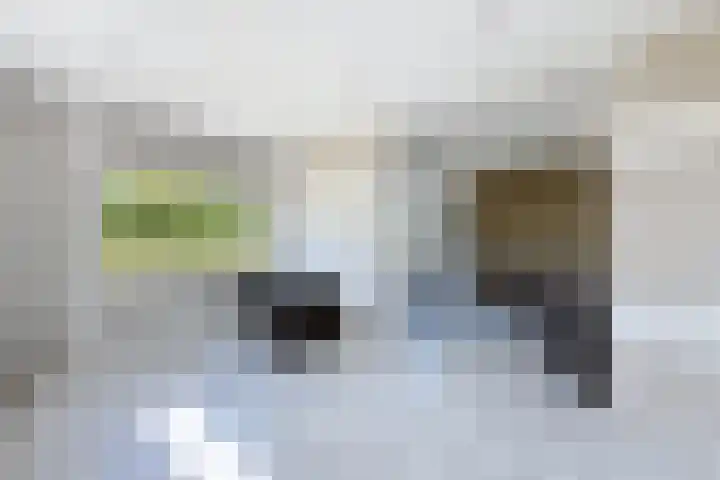 Zuidlangeweg 5 Biervliet thumbnail 10