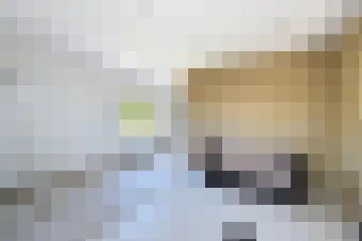 Zuidlangeweg 5 Biervliet thumbnail 11