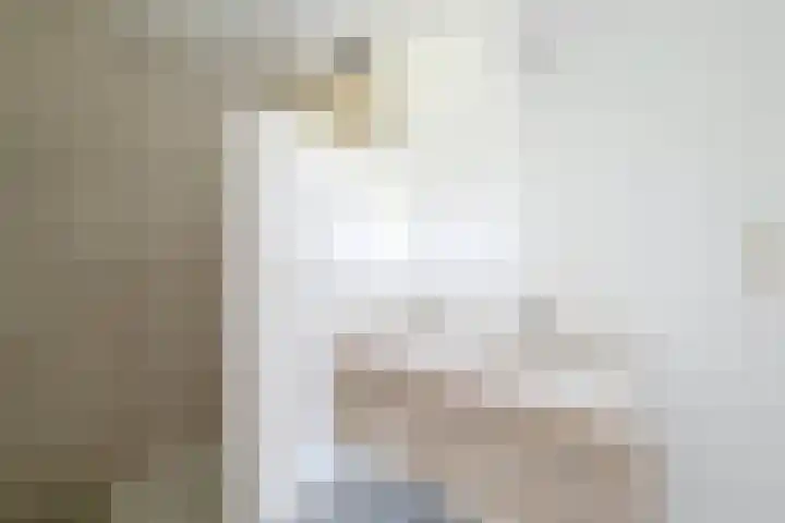 Zuidlangeweg 5 Biervliet thumbnail 13