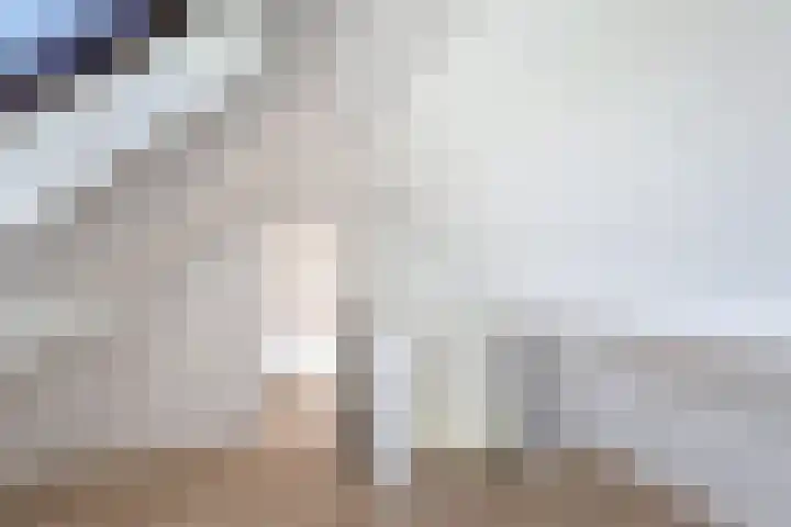 Zuidlangeweg 5 Biervliet thumbnail 15