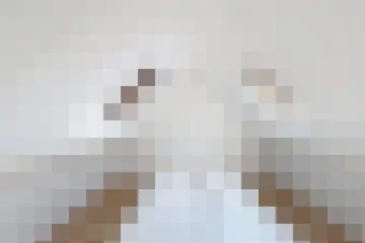 Zuidlangeweg 5 Biervliet thumbnail 16