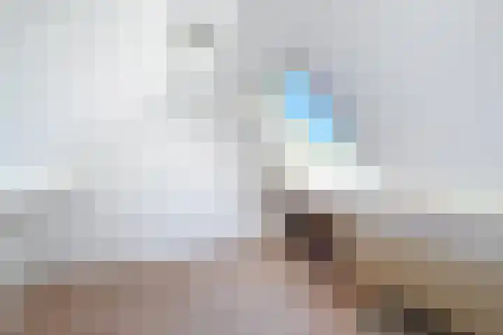 Zuidlangeweg 5 Biervliet thumbnail 17