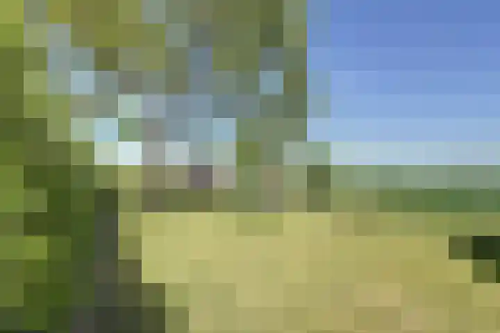 Zuidlangeweg 5 Biervliet thumbnail 19