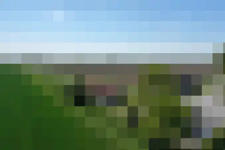 Zuidlangeweg 5 Biervliet thumbnail 20