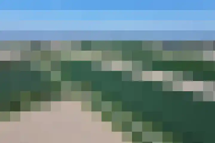 Zuidlangeweg 5 Biervliet thumbnail 21