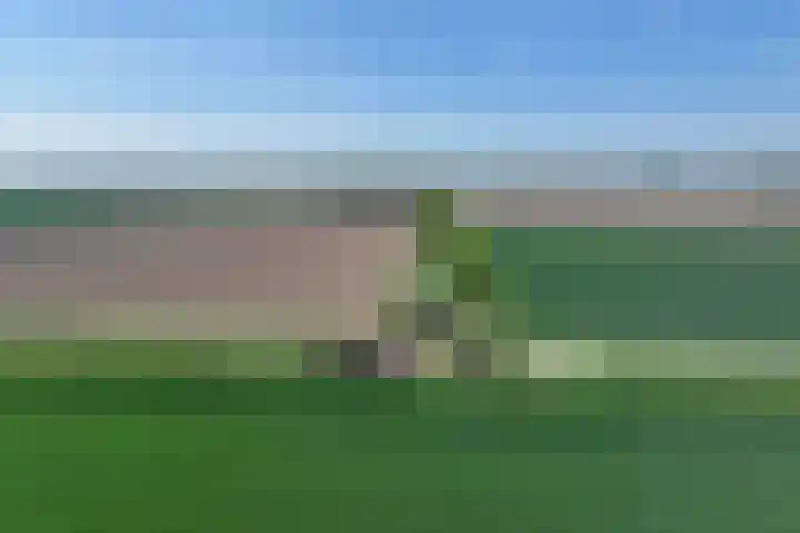 Zuidlangeweg 5 Biervliet thumbnail 22