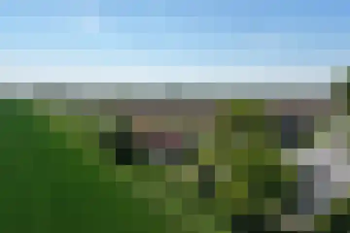 Zuidlangeweg 5 Biervliet thumbnail 24