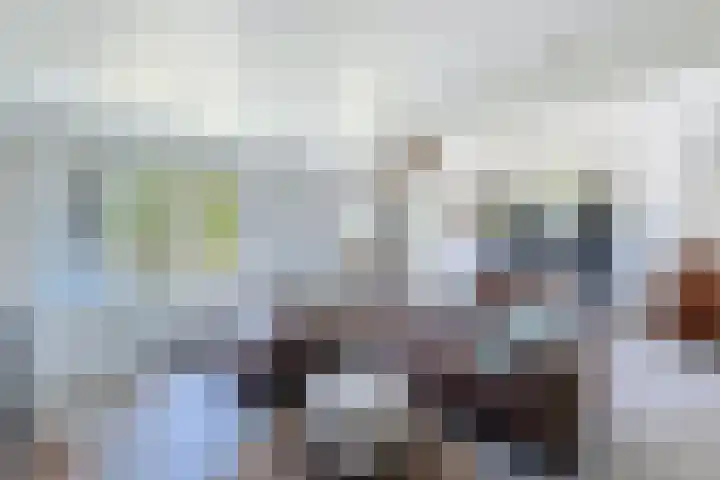 Zuidlangeweg 5 Biervliet thumbnail 4